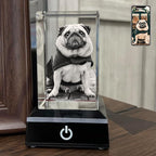 3D Crystal Photo, Personalized Dog, Cat Memorial Gifts for Pet Owners. Gift Box Included, Customized Laser Etched Crystal Photo (Small Portrait)