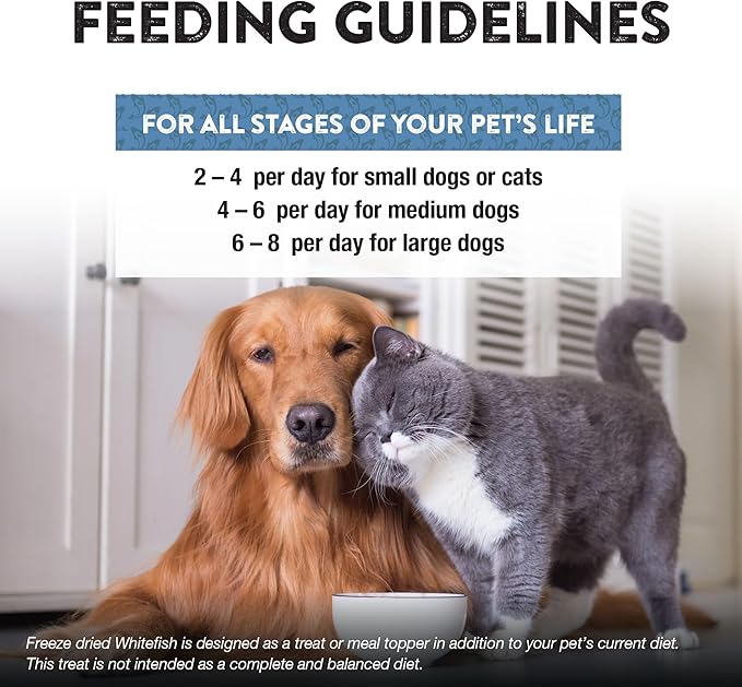 Northwest Naturals Raw Rewards Freeze-Dried Whitefish Treats for Dogs and Cats - Bite-Sized Pieces - Healthy, 1 Ingredient, Human Grade Pet Food, All Natural, Proudly Made in USA 10 Oz