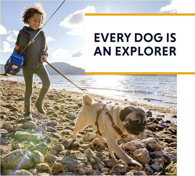 Ruffwear, Grip Trex Dog Shoes, Non-Slip Boots for Hot Pavement & Snow, Weatherproof Paw Protection with Breathable Mesh, Rugged Sole for Hiking, Red Sumac, 2.25"