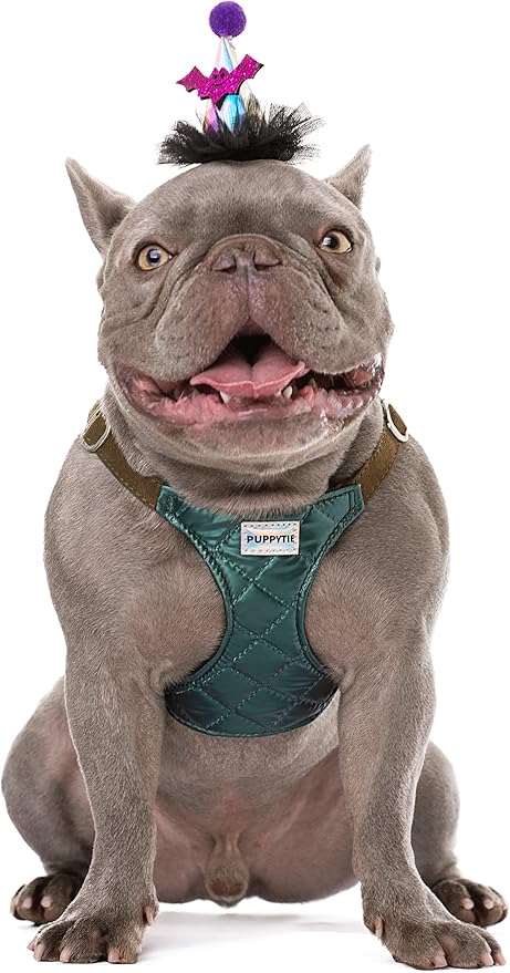 Puppytie No Pull Dog Harness with Multifunction Dog Leash,Soft Adjustable No Choke Escape Proof Pet Harness Vest for Medium Dogs,Glossy Dark Green,M
