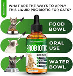 Probiotics for Cats for Digestive Support – Cat Probiotics for Indoor Cats Help with Colic, Upset Stomachs, Diarrhea, Gas, and Bloating – Prebiotics + Pleasant Chicken Flavor Inside – 2 Oz