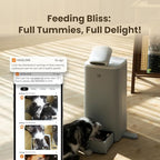 Automatic Cat Feeder with Camera 360°, 2K HD Video with Night Vision & 2-Way Audio, 5G Cat Food Dispenser with Low Food Sensor, Record Lovely Moments, O Sitter VIP Version