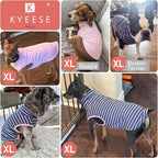 KYEESE 2Pack Dog Sweater Warm Dogs Clothes Turtleneck Dog Sweaters for Small Dogs Girl Stretchy Dachshund Clothes Turtleneck Pet Sweatshirt Soft Pet Coats