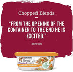 Purina Beneful Wet Dog Food Variety Pack, Prepared Meals & Chopped Blends - (16) 10 oz. Tubs