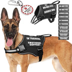 Service Dog Vest Harness+ID Tag+10 Patches,Metal Serivce Dog Tag&Reflective Emotional Support Dog Vest with Handle for Large Dogs,Easy Put On/Off for Training/Walking/Everyday Black L