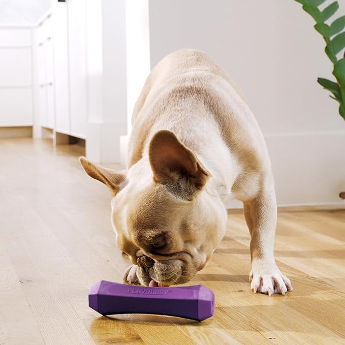 Playology Squeaky Dog Toy Fetch Stick | Durable Rubber Toys for Interactive Play | Bacon Scented Fetch Stick for Medium Dogs | Floating Dog Toy Made from Non Toxic Materials