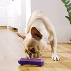 Playology Squeaky Dog Toy Fetch Stick | Durable Rubber Toys for Interactive Play | Bacon Scented Fetch Stick for Medium Dogs | Floating Dog Toy Made from Non Toxic Materials