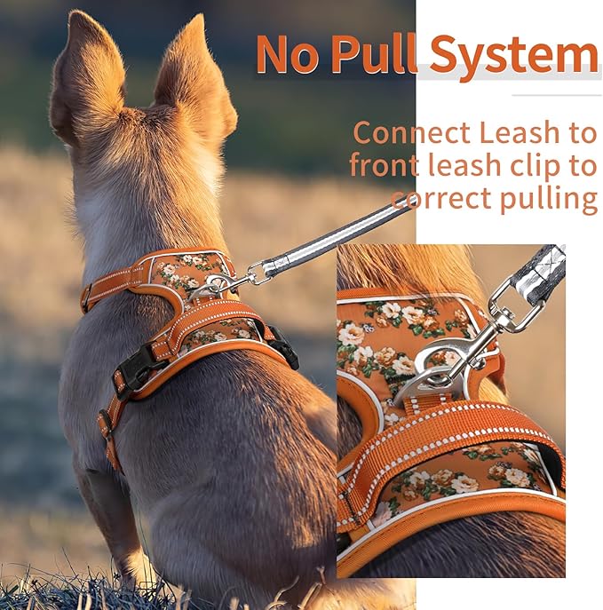 HEELE Dog Harness, No Pull Adjustable Padded Reflective Harness for Small Medium Large Dogs with Handle for Walking Training, Flower-Orange,XS