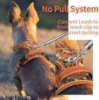 HEELE Dog Harness, No Pull Adjustable Padded Reflective Harness for Small Medium Large Dogs with Handle for Walking Training, Flower-Orange,XS