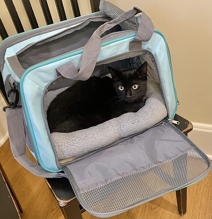 PETLESO Cat Bed Plush Cats Cushion, Cat Bed for Indoor Cats Fluffy Pet Mat for Cat Small Dog Curl Sleep for Crate Carrier, Medium 22" x 16"