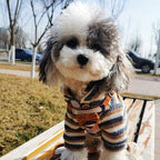 Puppytie No Pull Small Dog Harness with Multifunction Dog Leash,Lightweight Soft Adjustable No Choke Escape Proof Pet Harness Vest Pet Harness Vest,Suede Bow Brown,S