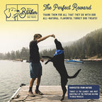 Beg & Barker Turkey Jerky for Dogs (4 Ounce, Pack of 1) - Dog Training Treats - Natural Dog Treats Made in The USA - Grain Free, Diabetic-Friendly, High Protein, Sugar-Free