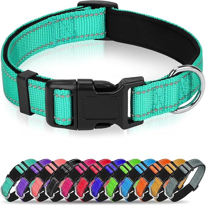 Reflective Dog Collar, Soft Neoprene Padded Nylon Pet Collar with Quick-Release Buckle, Adjustable for Mediunm Dogs,Teal,M, 1" Width