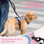 rabbitgoo Dog Harness No Pull with 2 Leash Clips, Adjustable Soft Padded, Reflective Oxford No Choke Pet Vest with Easy Control Handle for Large Dogs, Pink & Blue, XL