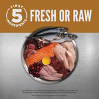 ORIJEN Grain Free High Protein Premium Dry Cat Food Original Recipe 7lb Bag