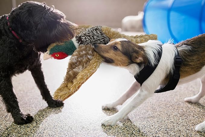 Pheasant Dog Toy Squeaky Pet Toys,Pheasant Interactive Chew Toys Stuffed Teething Toys for Large Medium Small Dog,Pheasant Dogs Toys Squeaky Toy to Keep Them Busy (R-2pheasant)