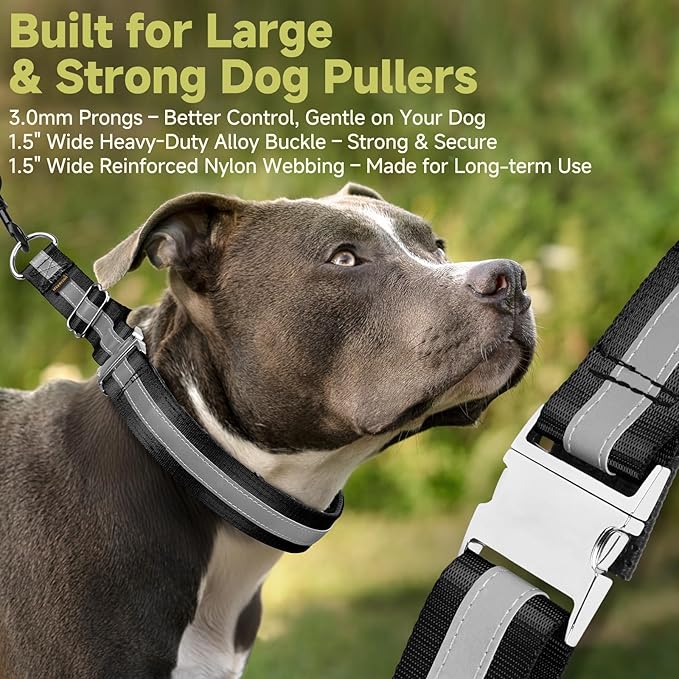 Mayerzon Martingale No Pull Collar for Large Medium Dogs, Patented Dog Walking Training Collar for Pulling, 1.5'' Wide Alloy Buckle, Neoprene Padded, Adjustable, Reflective, Easy to Use(M, Black)