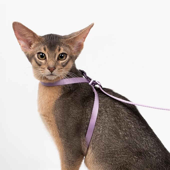 Cat Harness Escape-Proof Anti-Choking Adjustable Nylon Harness Lightweight with Anodized Aluminum Buckle, Ideal for Cats Outdoor Walking and Training, IDA Award (Linen, M (17.7"))