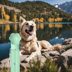 Stainless Steel Dog Travel Water Bottle, Vacuum Insulated Portable Dog Water Dispenser, Large Bottle with Drink Cup On The Go, Outdoor Walking, Hiking, Travel (Mint, 22oz)