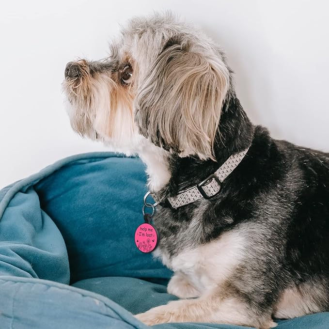 MYLUCKYTAG QR Code Silicone Pet ID Tag for Dogs and Cats - Online Profile, Location Alert Email, Digital Tag, Quiet and Durable Collar Tag, Engraved