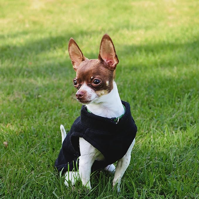 JACKO & CO - Fleece Vest Sweater with Leash Ring - Soft Lightweight Breathable for Puppies Small Medium Dogs, Kitten, Cats, Chihuahua - Warm for Fall/Autumn/Winter (Black, Medium 6-10lbs)