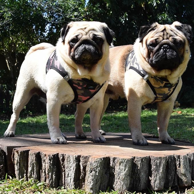 DOGGIE DESIGN American River Dog Harness Camouflage Collection - Brown Camo XS