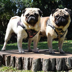 DOGGIE DESIGN American River Dog Harness Camouflage Collection - Brown Camo XS