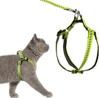 Filbert Cat Harness and Leash Set with Reflective Strip, Thin Cat Harness Escape Proof with Leash, Step-in, Adjustable, Indoor Outdoor, Easy-to-Put-On