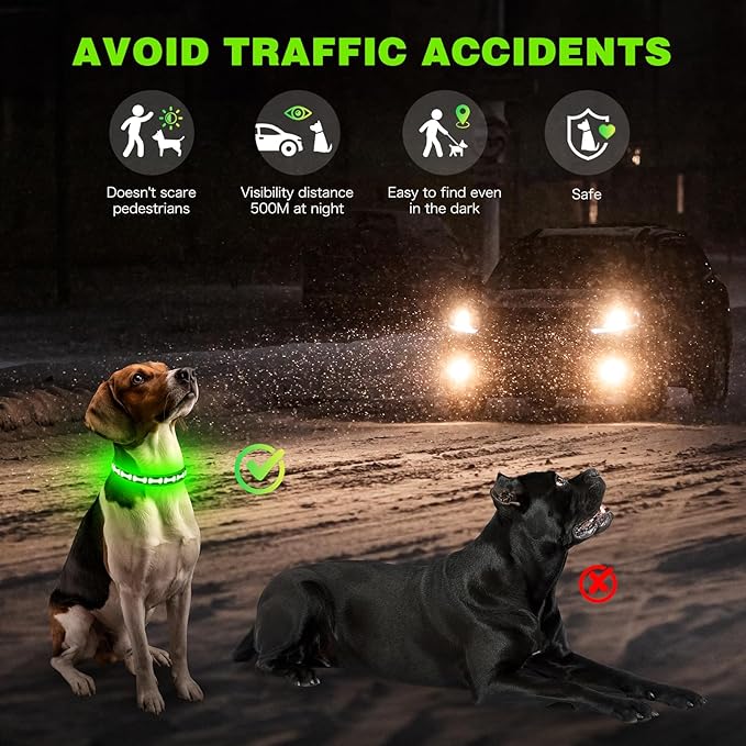Flashseen Light Up Dog Collars, Adjustable LED Dog Collar Rechargeable, Glow in The Dark Dog Collars Super Bright Glow Collars for Night Walking for Dogs (Green, Small)