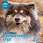 123 Treats Goat Horns for Dogs Chews 9-11 inches (2 Count - Large) 100% Natural Long Lasting chew for Dogs