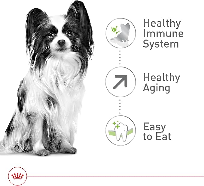 Royal Canin X-Small Aging 12+ Dry Dog Food, 2.5 lb bag