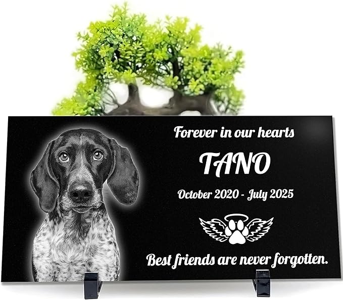 Personalized Pet Memorial Stones, Memorial Plaque for Pets, Dog, Cat, Black Granite Memorial Garden Stone Engraved with Photo, Dog Memorial Grave Markers Pet Memorial