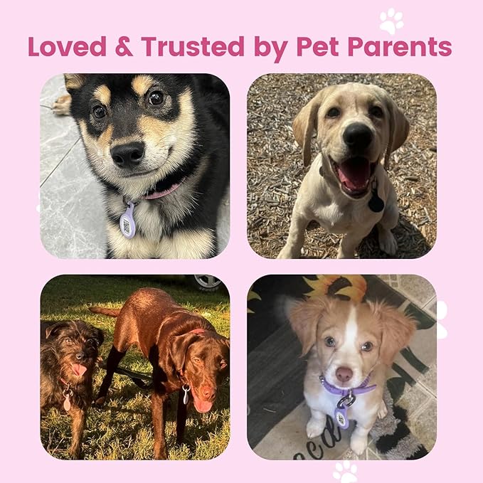 Dog ID Tag with QR Code & NFC, Silent Silicone Dog Name Tags Personalized for Pets - Scan QR for Instant Location Alert, Emergency Contact and Modifiable Pet Profile (Pink)