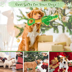 Large Dog Toys, Plush Squeaky Dog Toy with Crinkle Paper and Tug of War Handle, Interactive Puppy Toys for Small, Medium and Large Dogs