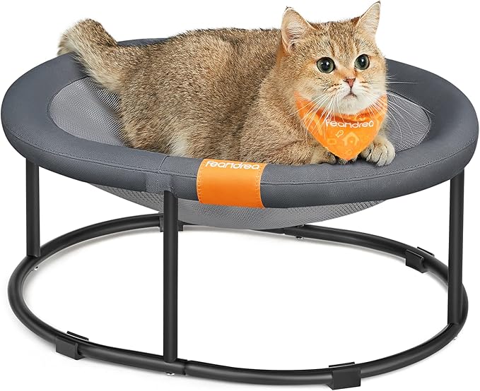 Feandrea Pet Bed, Cat Hammock, Elevated Cat Bed for Multiple Cats, with Removable Washable Mesh, for Pets up to 20 lb, Oval, Gray UPCB001G01