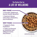 Wellness Complete Health Morsels Adult Wet Cat Food, Natural, Protein-Rich, Grain Free, 3 Ounce, 24 Pack, (Chicken Entrée)