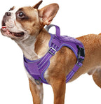 rabbitgoo Dog Harness Small Sized No Pull, Tactical Service Pet Vest with Molle and Control Handle, Adjustable and Reflective Military Harness for Easy Walking and Training, Purple, S