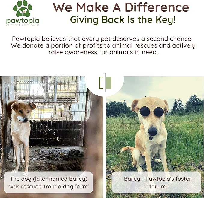 Pawtria Certified Home Compostable Dog Poop Bags (240 Bags + Lavender Carrier), Biodegradable Pet Waste Bags, Vegetable Starches, Leak proof Dog Waste Bags, Light-weight silicone made bag carrier