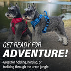 Doggie Design Venture Paw No Pull Dog Harness - Simple Adjustable Puppy Harness - Anti Pull Dog Collar for Walks and Outdoor Adventures - Crimson, M