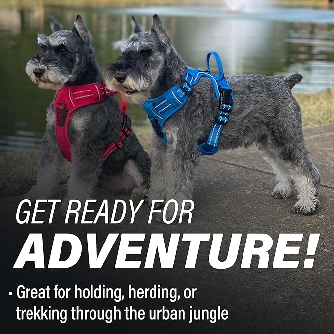 Doggie Design Venture Paw No Pull Dog Harness - Simple Adjustable Puppy Harness - Anti Pull Dog Collar for Walks and Outdoor Adventures - Crimson, M