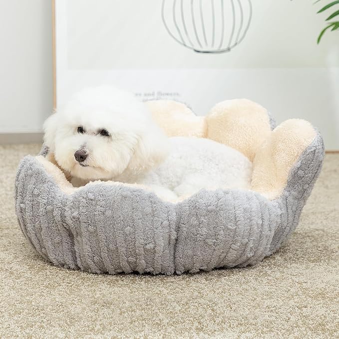 Hollypet Cozy Cat Beds for Indoor Cats - Cute Cactus Pet Bed, Fluffy Puppy Bed, Non-Slip Extra Small Dog Bed, Gray