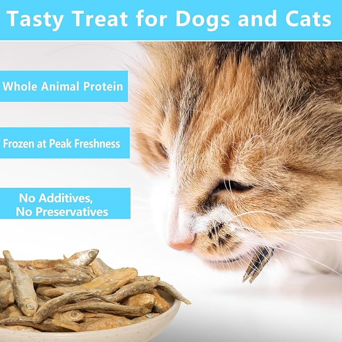 Minnows - 8.5 oz Freeze Dried - 100% Natural Premium Cat & Dog Treat