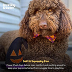 Huxley & Kent Halloween Funny Dog Toy w/Squeaker – Power Plush Squeaky Dog Toys for Small, Medium & Large Dogs – Soft Stuffed Animal for Indoor Play & Fetch - Witch Hat, One Size