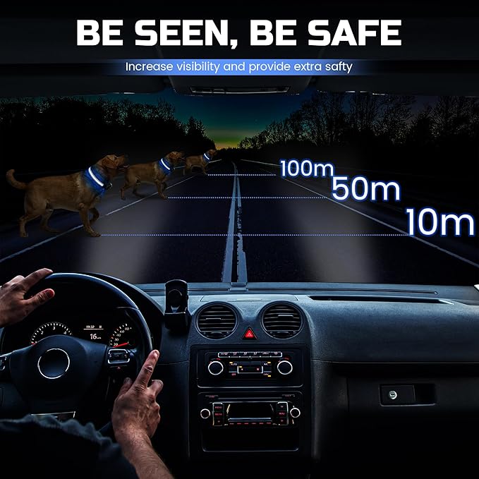 Light Up Dog Collar Rechargeable, LED Glow Collar in Dark with 3 Flash Mode for Outdoor Night Walking Visible Safe, Adjustable Waterproof Dog Light for Small Medium Large Breed, Blue, L