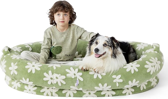 Lesure Human Dog Bed for Adult - Calming Human Size Dog Bed with Egg Foam Supportive Mat and Storage Pocket, Cute Modern Pet Beds with Jacquard Shaggy Plush & Anti Slip Bottom 55x37x10, Green