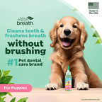 TropiClean Fresh Breath Dog Toothpaste for Teeth Cleaning, Breath Freshener, Easy to Use Plaque & Tartar Remover Gel, No Toothbrush Needed, 2oz.