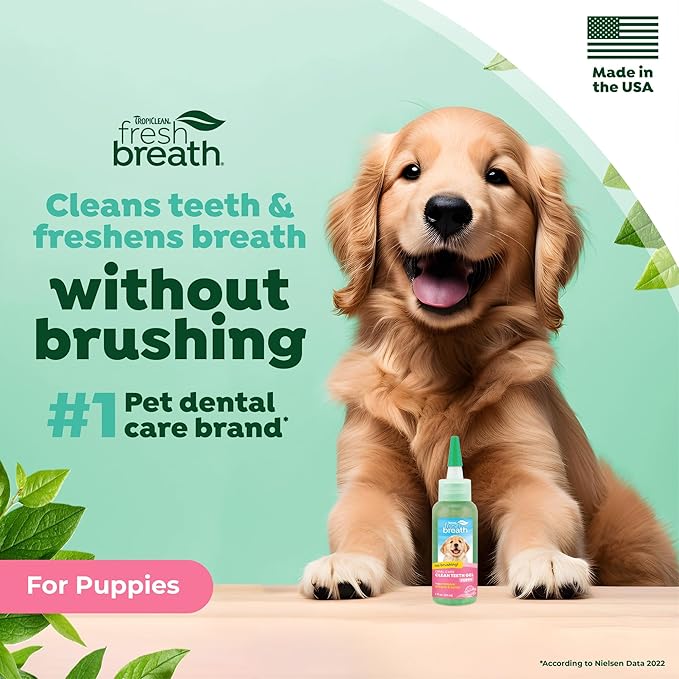 TropiClean Fresh Breath Dog Toothpaste for Teeth Cleaning, Breath Freshener, Easy to Use Plaque & Tartar Remover Gel, No Toothbrush Needed, 2oz.