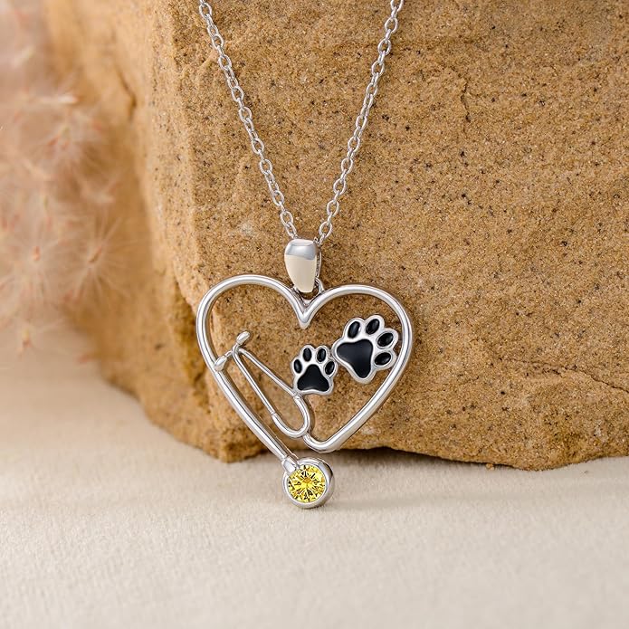 Birthstone Veterinary Stethoscope Necklace 925 Sterling Silver Nurse Vet Pendant with Dog Paw Nurse Jewelry Gifts for Veterinarian Nurse Women Veterinarian Gifts