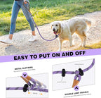 lynxking Slip Lead Dog Leash Reflective, Heavy Duty Comfortable Strong Rope for Large Medium Small Dogs No Pull Pet Training (Light Purple, 2PCS Large 1/2in x 6ft)