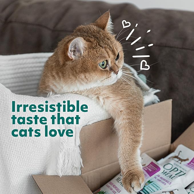 Optimeal Grain-Free Wet Cat Food – Lamb & Veggies Recipe, High Protein & Moisture Rich Indoor Adult Cats Food, Tender Morsels in Savory Gravy Natural Ingredients - 3 oz Pouches, 12 Pack